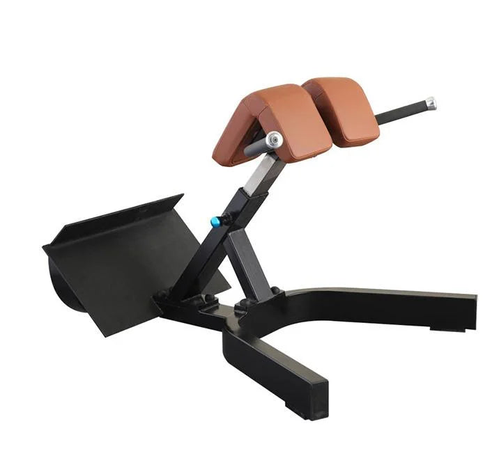 Wholesale Fitness Gym Equipment Machine Bench Commercial Back Extension Roman Chair Machine