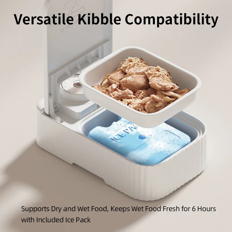 2024 New pet single meal feeder 48h timing ice crystal box Fresh-keeping, anti-splash, dustproof and anti-insect cat food bowl
